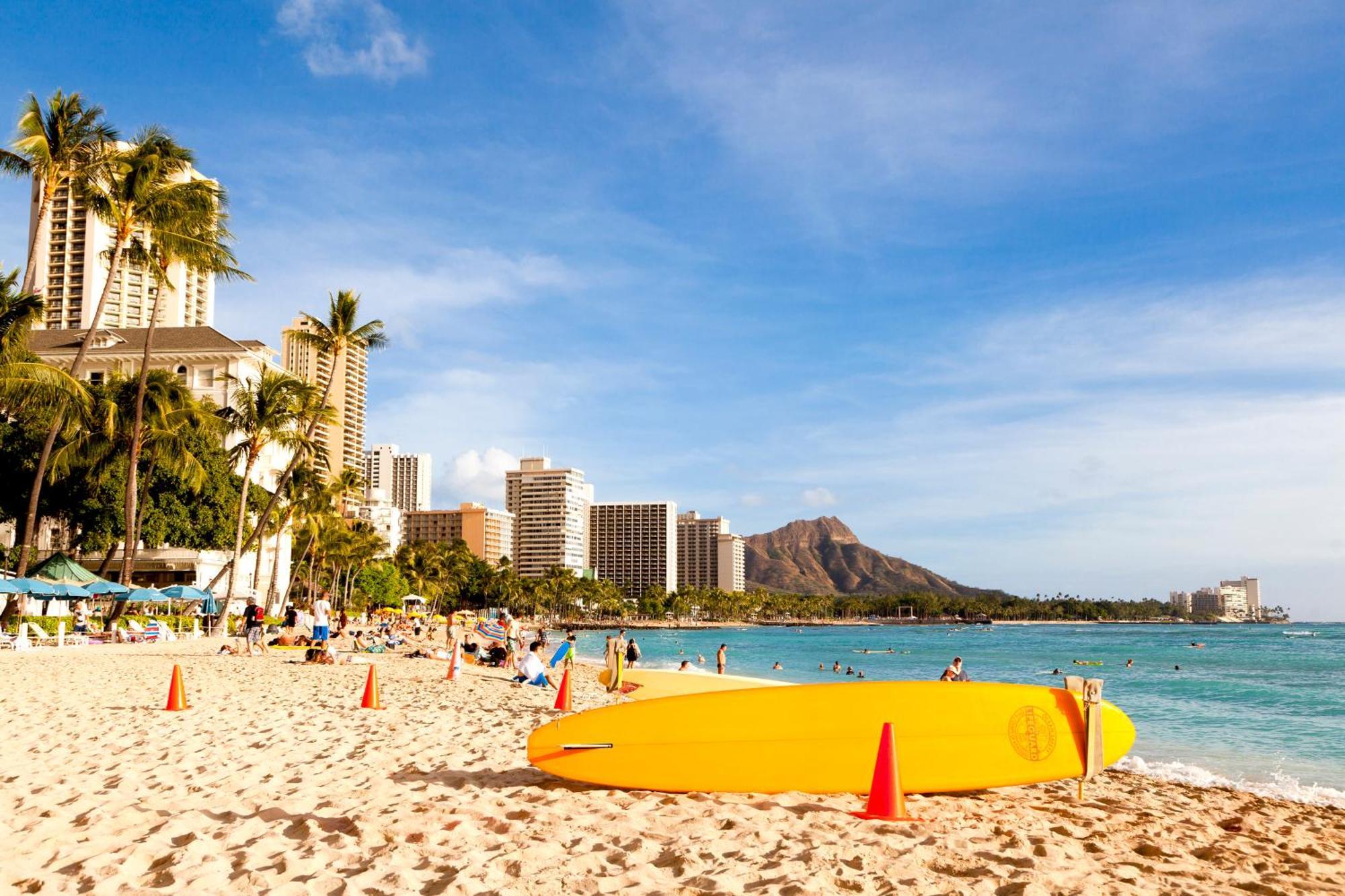 Renovated Ocean View Suite, Near Beach, Free Parking Honolulu Esterno foto