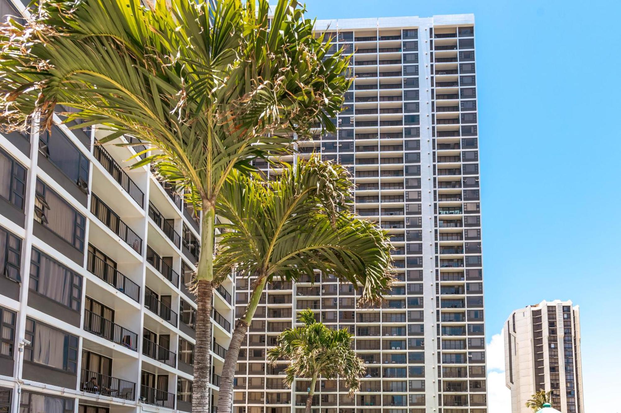 Renovated Ocean View Suite, Near Beach, Free Parking Honolulu Esterno foto