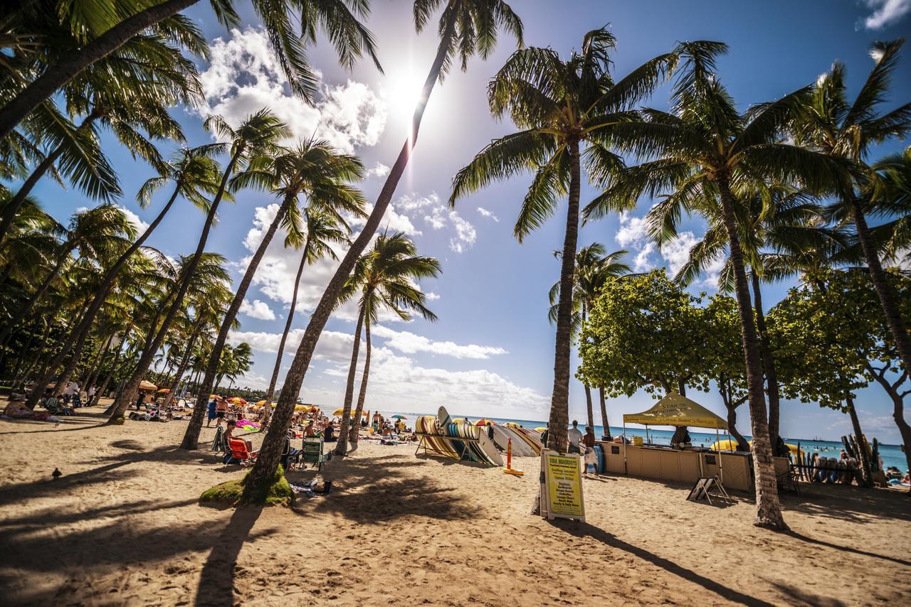 Renovated Ocean View Suite, Near Beach, Free Parking Honolulu Esterno foto