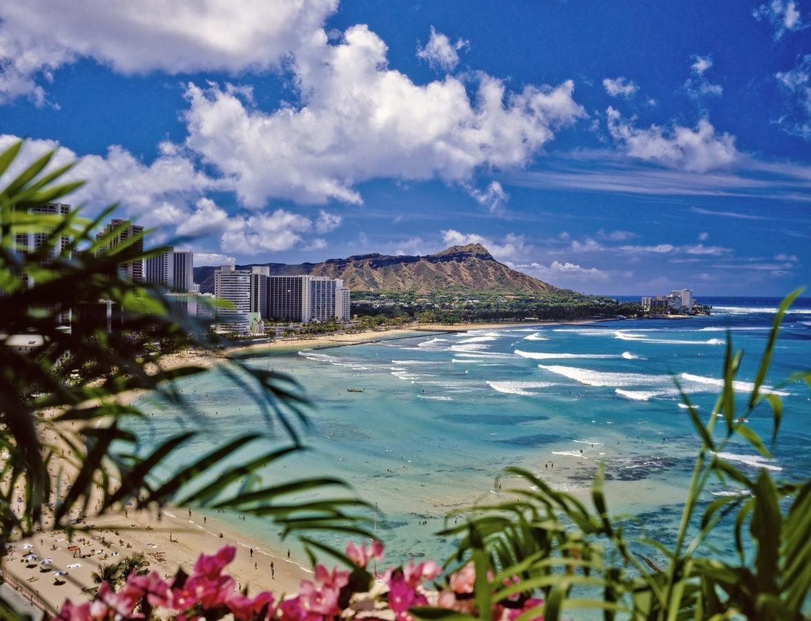 Renovated Ocean View Suite, Near Beach, Free Parking Honolulu Esterno foto